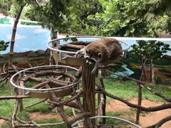 -西霞口神雕山野生动物世界