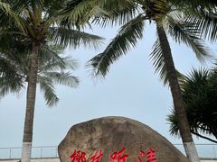 -万绿园