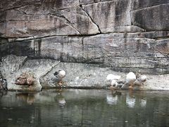 -黑龙潭风景区
