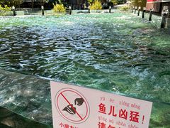 -天怡·鱼工厂(梅溪湖店)