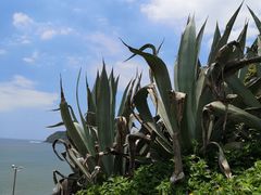 -漳州滨海火山岛自然生态风景区
