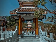 -顺峰山公园