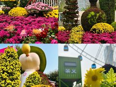 -南昌之星摩天轮