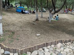 -长白岛森林公园