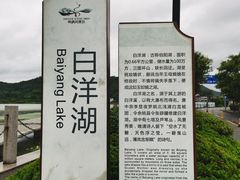 -鸣鹤古镇