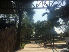 -是拉差龙虎园(Permanently closed)