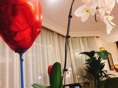 -子霖南山鲜虾面(南山总店)