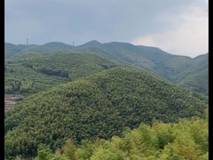-宁波浙东大竹海景区