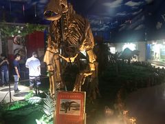 -诸城市恐龙博物馆
