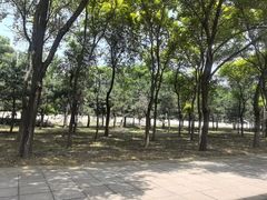 -楊家一锅(沙阳路店)