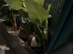 -涟LIAN·泰式按摩·MASSAGE·SPA(华强北店)
