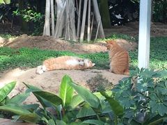 -龙达温泉生态城