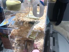 -英皇UA电影城(虹桥天地店)