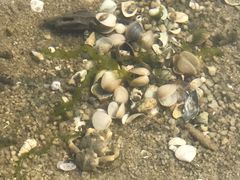 -北海金海湾红树林生态旅游区