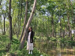 -楠溪江风景名胜区