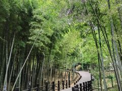 -树山生态村