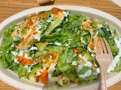 -油梨树 AVOCADO TREE(亮马桥店)