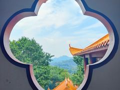 -深圳仙湖植物园