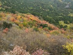 -香山公园