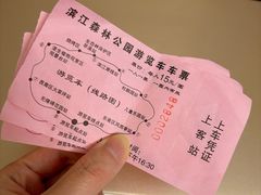-上海滨江森林公园