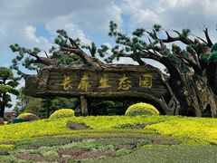 -长廊欢乐园