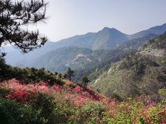 -木兰云雾山