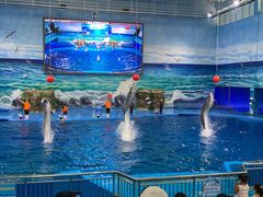 -多彩贵州城极地海洋世界