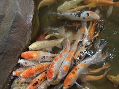 -泉城欧乐堡海洋极地世界