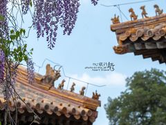 -故宫博物院(故宫)