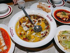 -新渝城·川菜·火锅(区庄店)