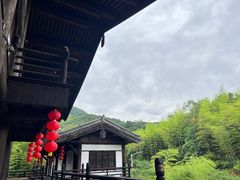 -大唐贡茶院