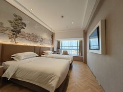 -维也纳酒店(广州白云国际机场航站楼店)