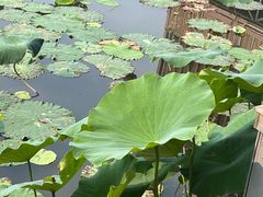 -繁毅农庄