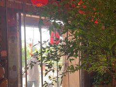 -头上红煨盐鸡·非遗院子餐厅