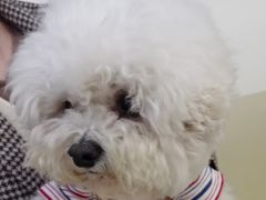 -美联众合动物医院·24h转诊中心