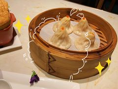 -点都德·毕德寮