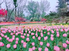 -国家植物园