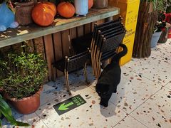-萤火虫咖啡(后海店)