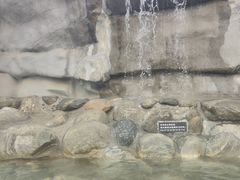 -华山御温泉度假村