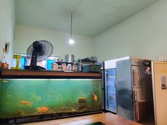 -玉滋補