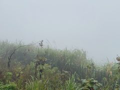 -长沙黑麋峰国家森林公园