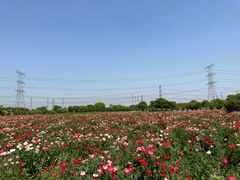 -上海杨姆庄园