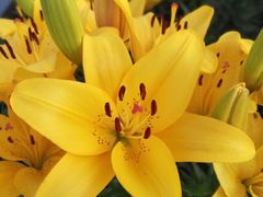 -长春公园(普阳街道)