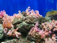 -洛阳龙门海洋馆