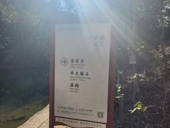 -四明山国家森林公园