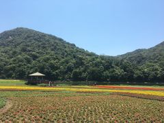 -广州市石门国家森林公园