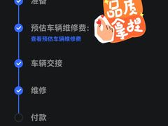 -TESLA 特斯拉(深圳观澜特斯拉直营钣喷中心)