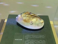 -诸暨博物馆