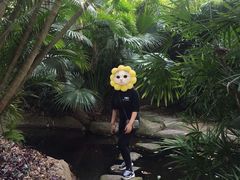 -乌糖沙茶面(民族路店)
