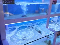 水产区-一亩鲜生(凤屿店)